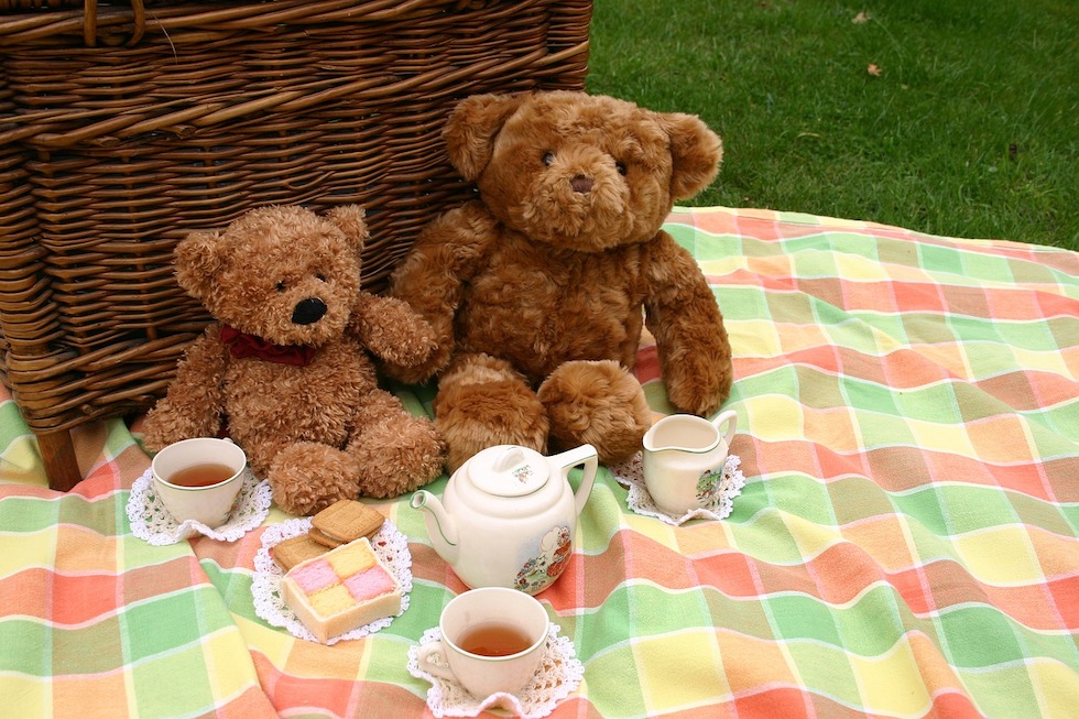 It’s a Terrific Day for a Teddy Bear Picnic!