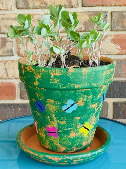 A Cute Butterfly Planter for Someone Special