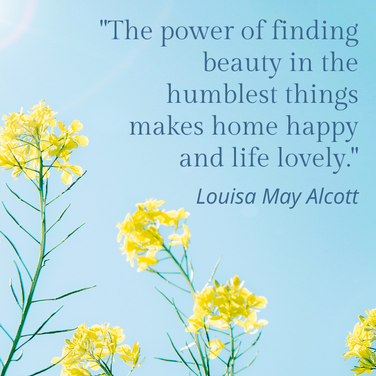 Louisa May Alcott quote on blue sky background with yellow flowers